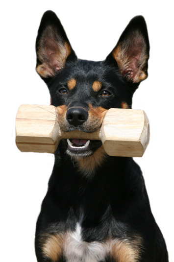 &copy; Salme Mujunen